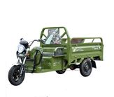 ChineseTricycleFactory2500*1000Size e tipo di corpo aperto motore Carry Cargo Rickshaw Electric Tricycle elettrico