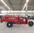 Piccolo triciclo agricolo della benzina 150cc di Tricar