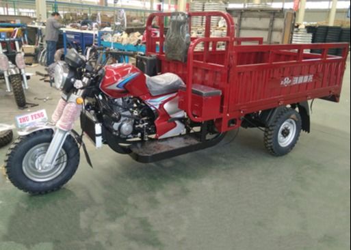 Motociclo della benzina 300cc per la persona handicappata